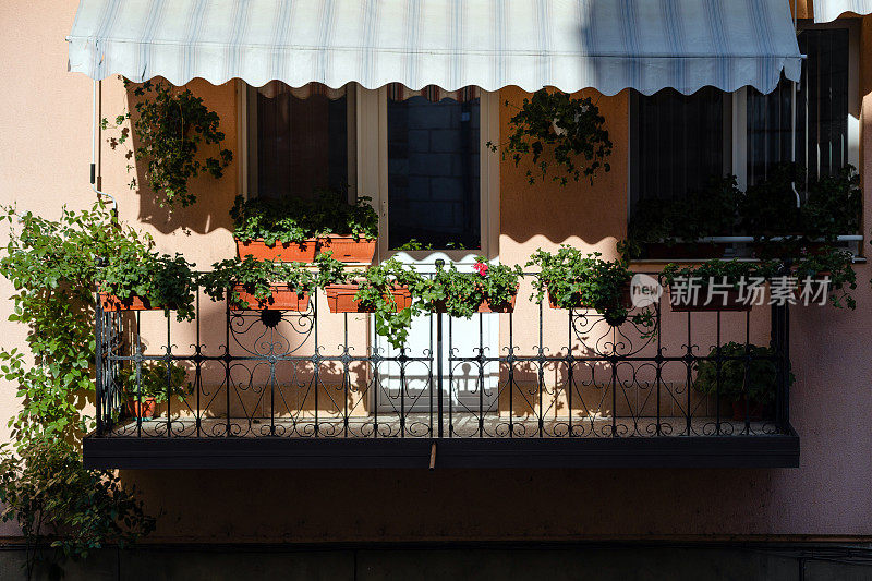 Flower pots with beautiful flowers on a balcony